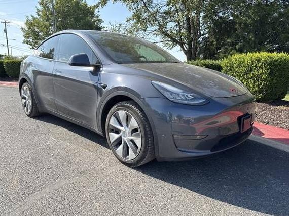 TESLA MODEL Y 2021 5YJYGDEE0MF203228 image TESLA MODEL Y 2021 5YJYGDEE0MF203228 image